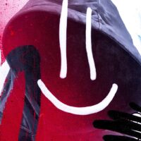 VANDAL BOY - Image 3