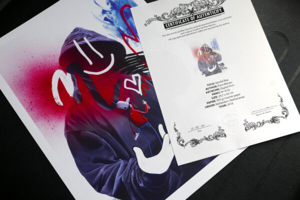VANDAL BOY - Image 2